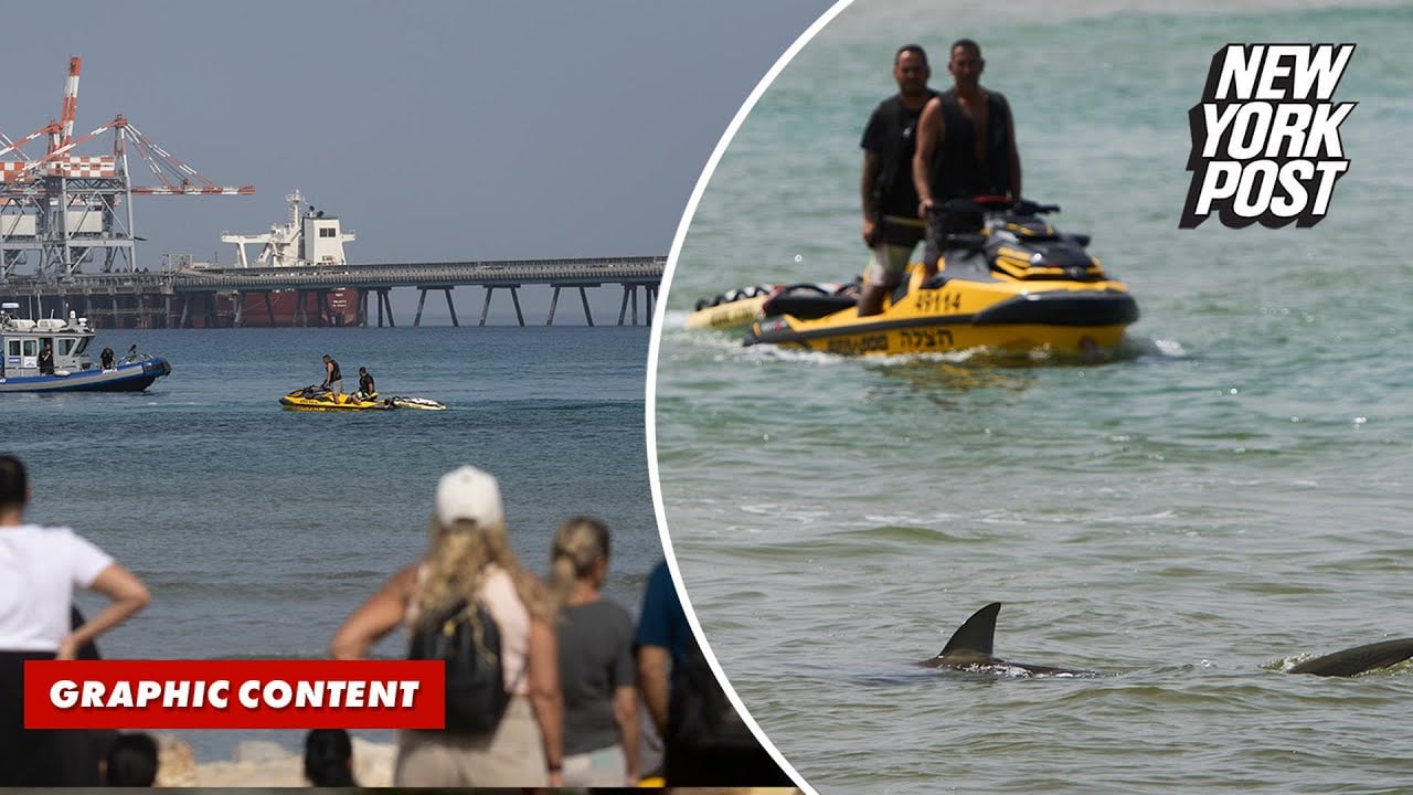 Terrifying video shows missing diver battling shark off coast of Israel