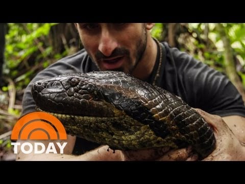 Eaten Alive By Anaconda: Why I Did It | TODAY