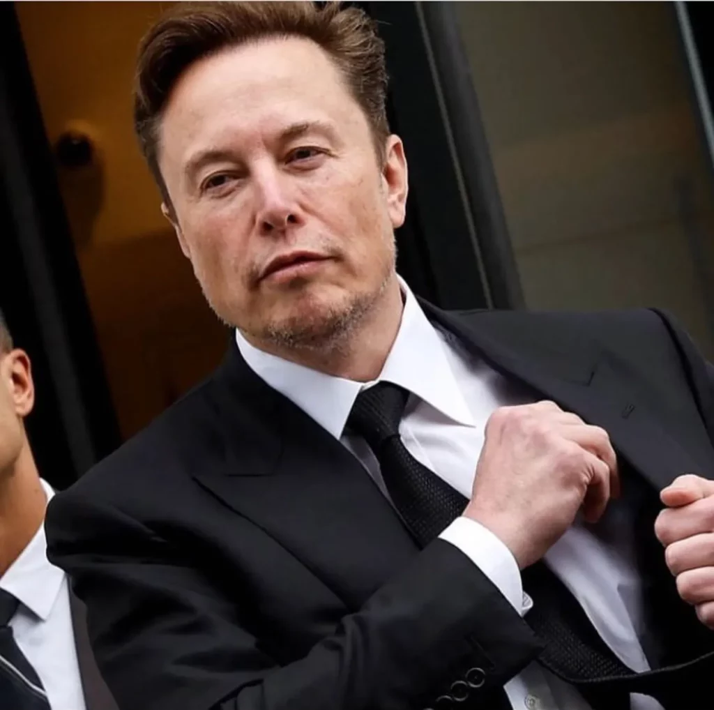 CEO Tesla Elon Musk