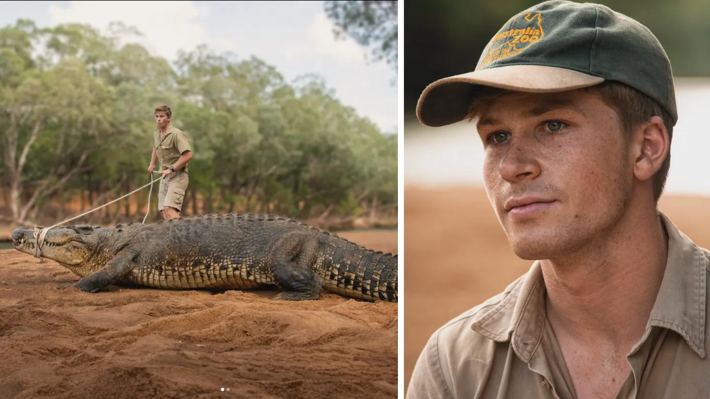 'Head smashed into tree' Robert Irwin’s Wild Crocodile Adventure Just Hours Before the 2024 Logie Awards