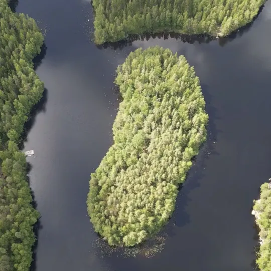 The couple acquired a deserted island