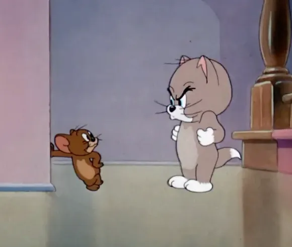 Tom&Jerry cartoons