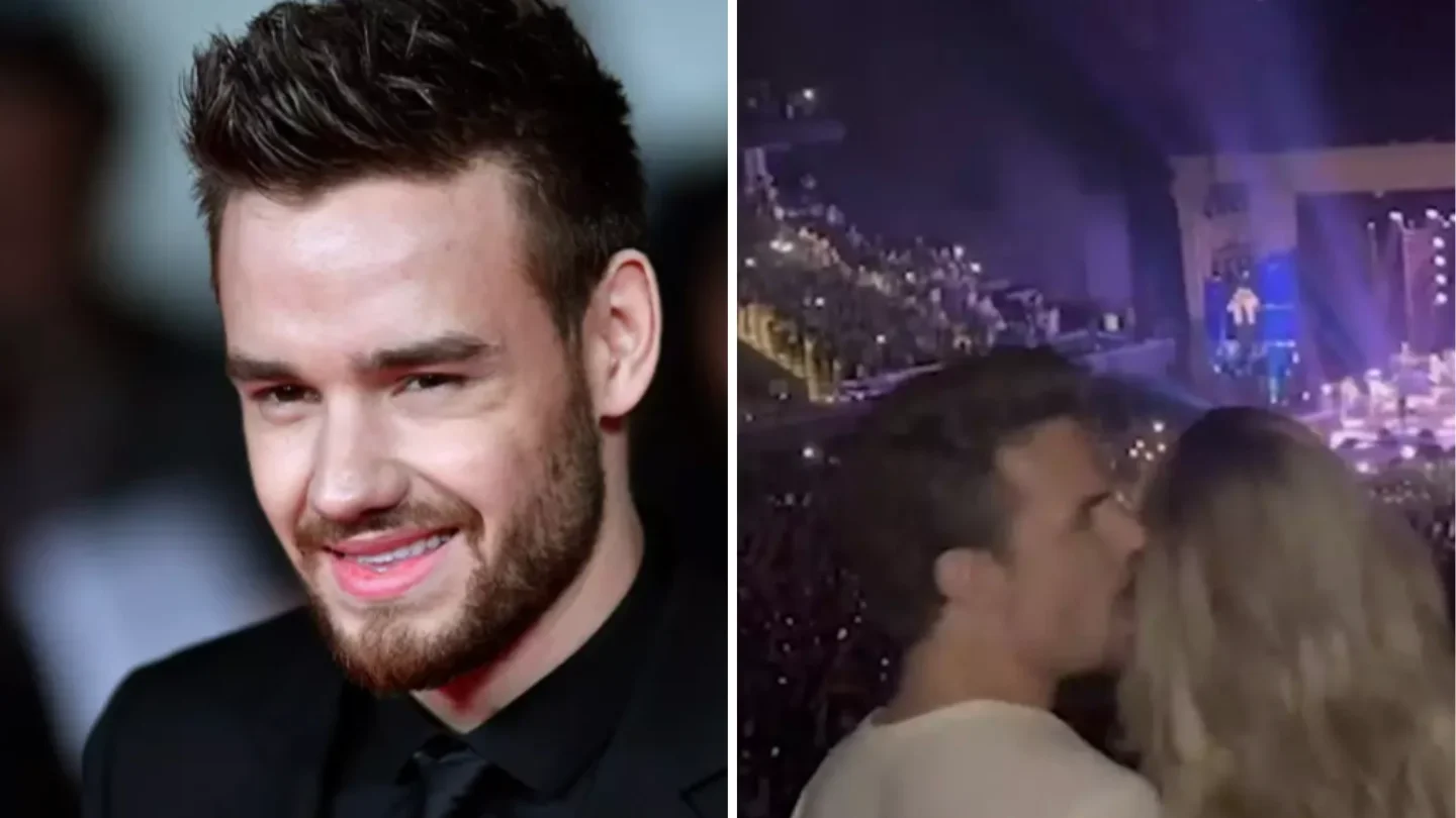 Liam Payne enjoying a Niall Horan concert with his girlfriend