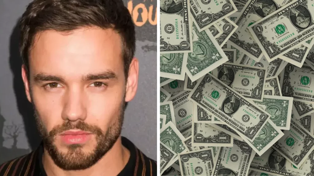 Unbelievable Wealth Liam Payne