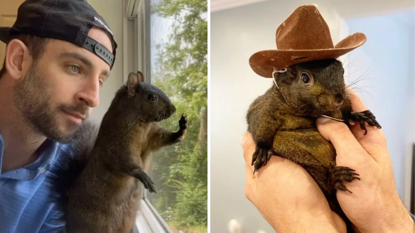 Authorities Face Backlash Over Euthanizing Peanut the Squirrel