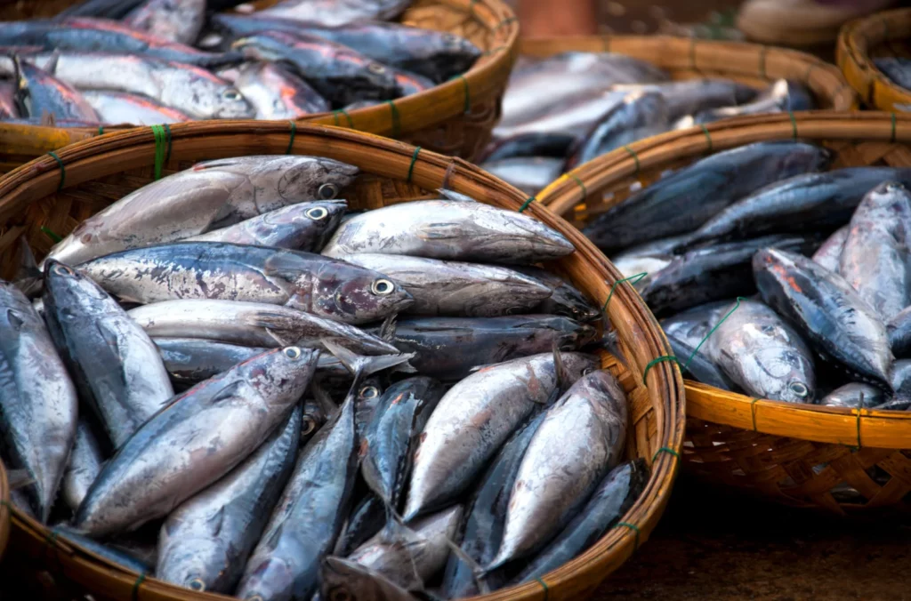 Cooking the fish would effectively eradicate