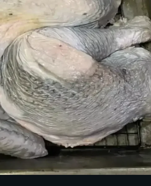 Please don’t eat this turkey