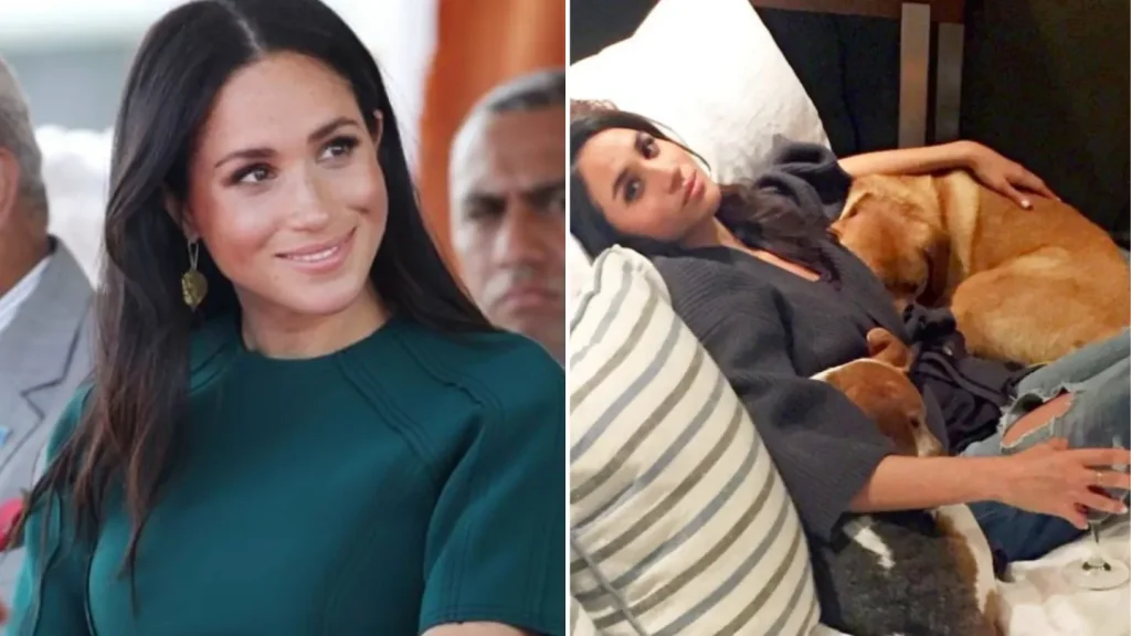 The Most Shady, Shocking, And Scandalous Secrets About Meghan Markle