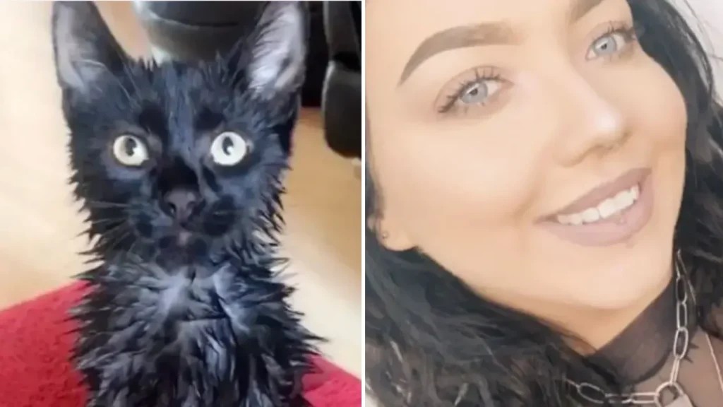 Woman Retaliates After Neighbours Son Drenches Her Cat