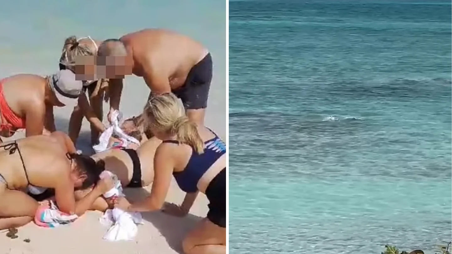 Tourist Hands Bitten Off by Shark While Attempting to Snap a Picture