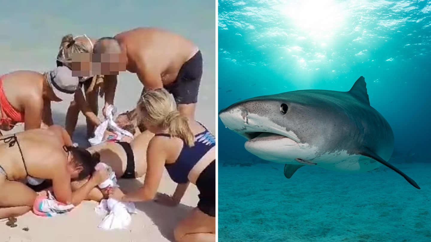 Horrific Details Emerge as Witness Recounts Shark Attack on Photographer