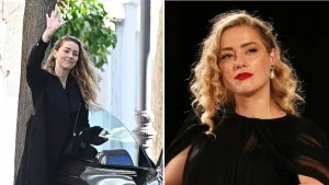 What We Know as Amber Heard Reveals the Birth of Her Twins
