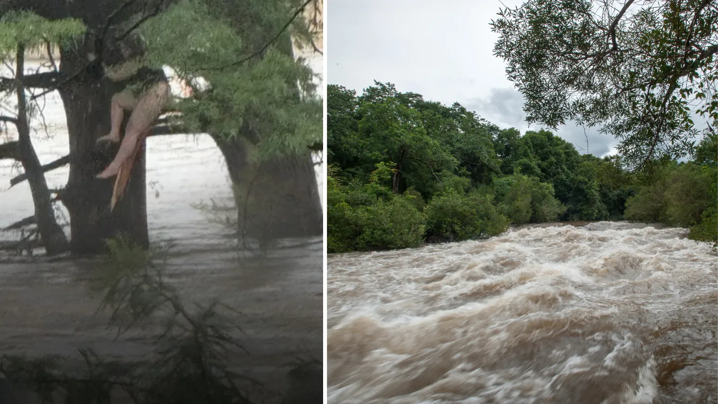 guadalupe river
